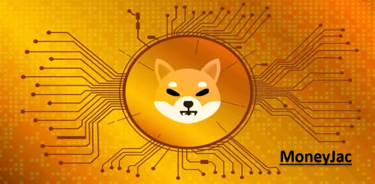 Shiba Inu Forecast